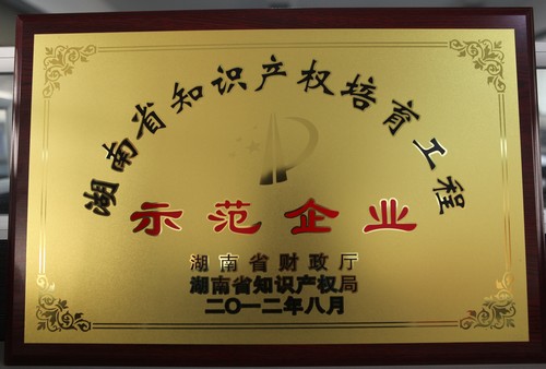 湖南省知識(shí)產(chǎn)權(quán)培育工程師范企業(yè)2012.8