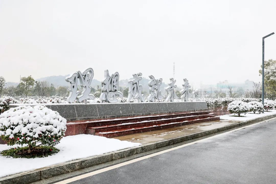 瑞雪兆豐年，邀您共賞雪中山河！