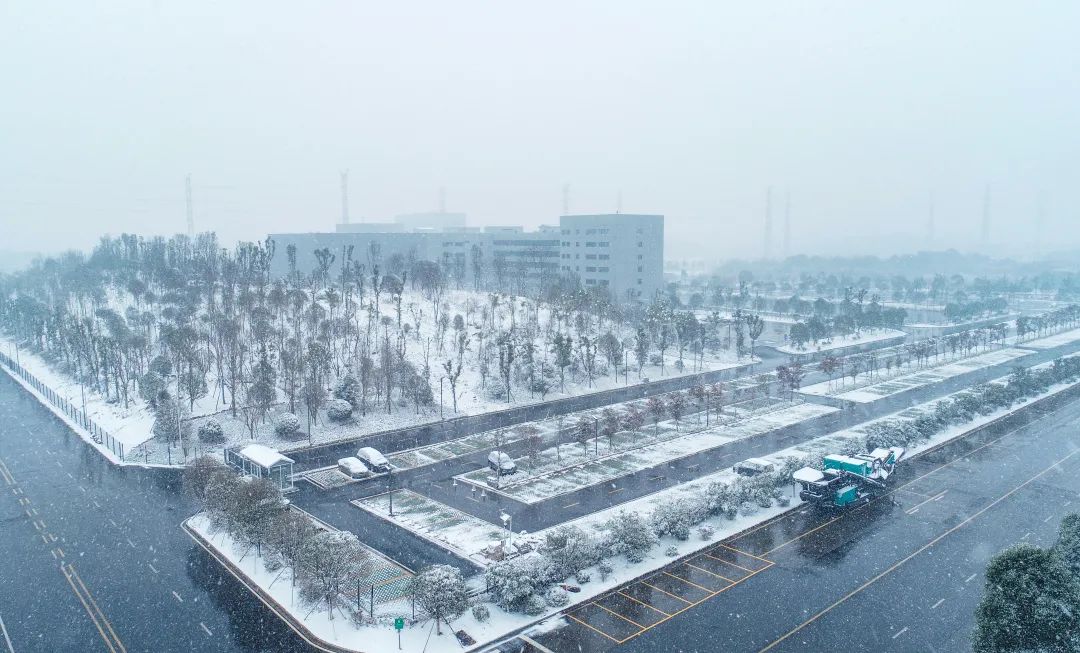 瑞雪兆豐年，邀您共賞雪中山河！